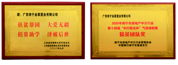 2020 年企业奖项展示